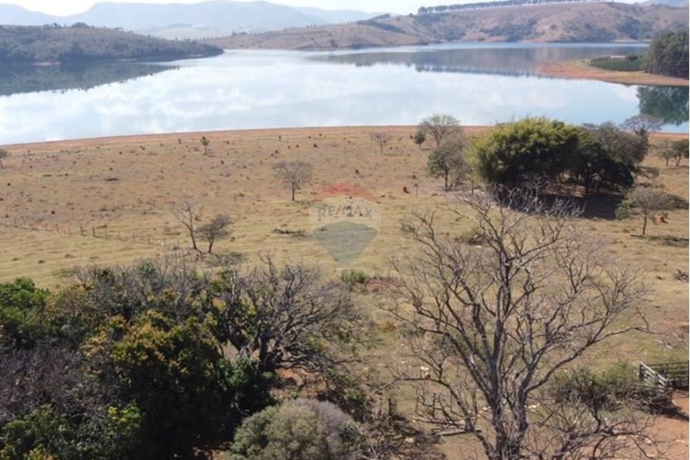 Agro - Venda - Guapé , Minas Gerais - Fazenda Guape 6.jpg - 780071051-6