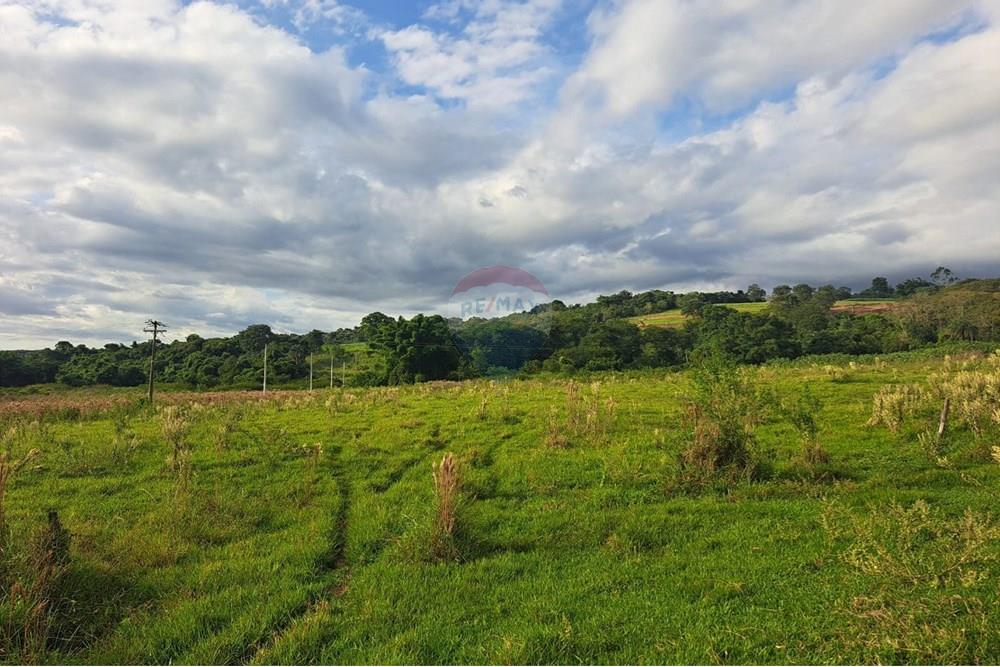 Chácara / Sítio / Fazenda - Venda - Cajuru , São Paulo - IMG-20250406-WA0144.jpg - 780171030-59