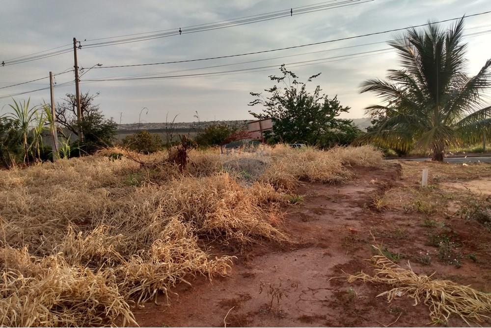 Terreno - Venda - Orlândia , São Paulo - Avenida Marginal Nr 340 - 01.jpg - 780111046-7