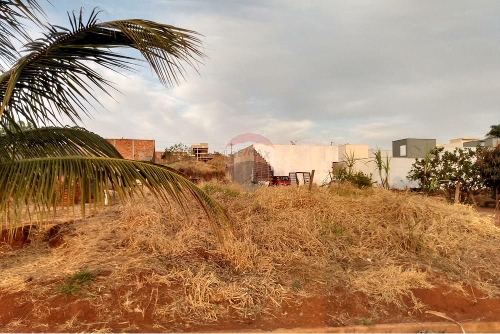 Terreno - Venda - Orlândia , São Paulo - Avenida Marginal Nr 340 - 04.jpg - 780111046-7