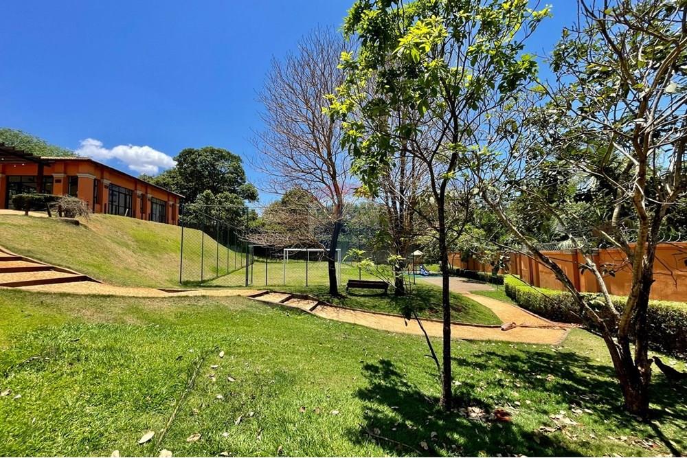 Terreno - Venda - Ribeirão Preto , São Paulo - lc64.jpg - 780121005-78