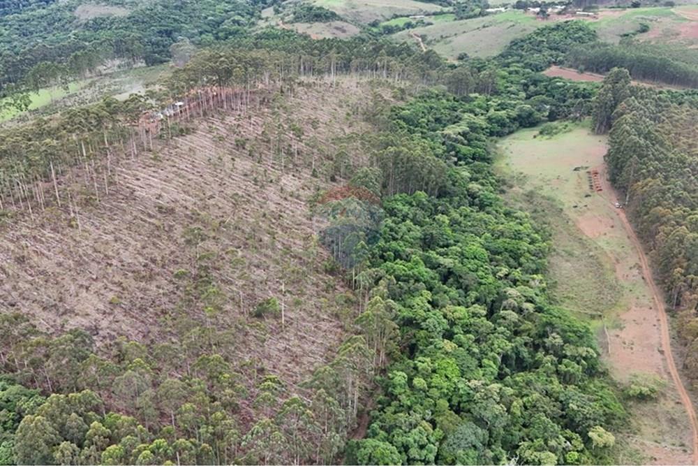 Chácara / Sítio / Fazenda - Venda - Aiuruoca , Minas Gerais - DJI_20241113152615_0298_D.JPG - 780251035-5