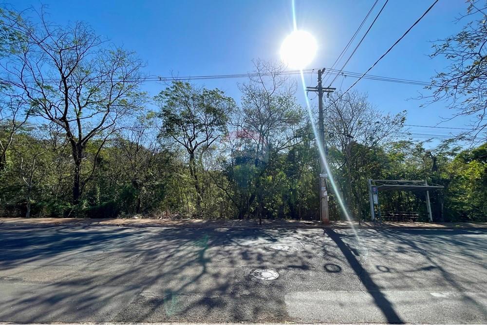 Apartamento - Venda - Ribeirão Preto , São Paulo - IMG_0739.jpg - 780071079-16