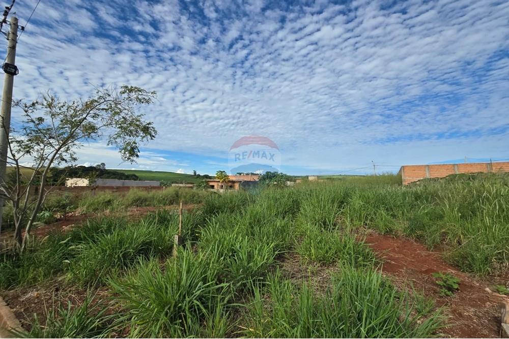 Terreno - Venda - Ribeirão Preto , São Paulo - WhatsApp Image 2025-04-17 at 15.43.11 (1).jpeg - 780101051-1