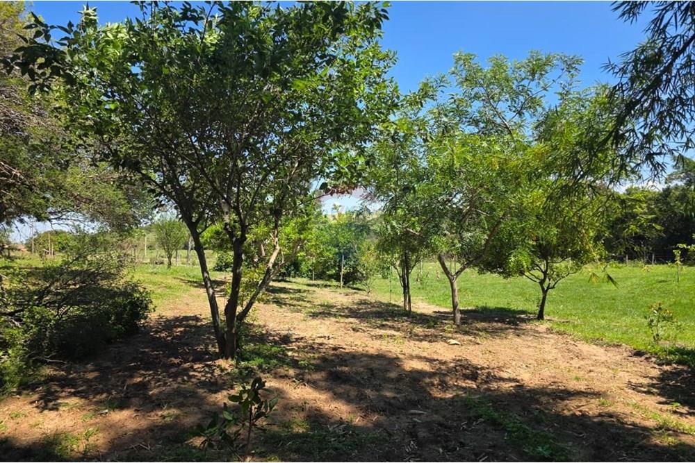 Chácara / Sítio / Fazenda - Venda - Santo Antônio da Alegria , São Paulo - IMG-20251121-WA0164.jpg - 780171030-68