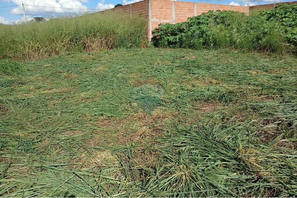 Terreno - Venda - Ribeirão Preto , São Paulo - WhatsApp_Image_2025-04-22_at_20.22.35[1].jpeg - 780101051-1