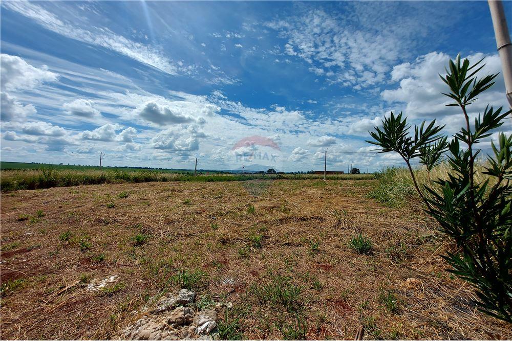 Terreno - Venda - Cravinhos , São Paulo - 5 - 780071037-60