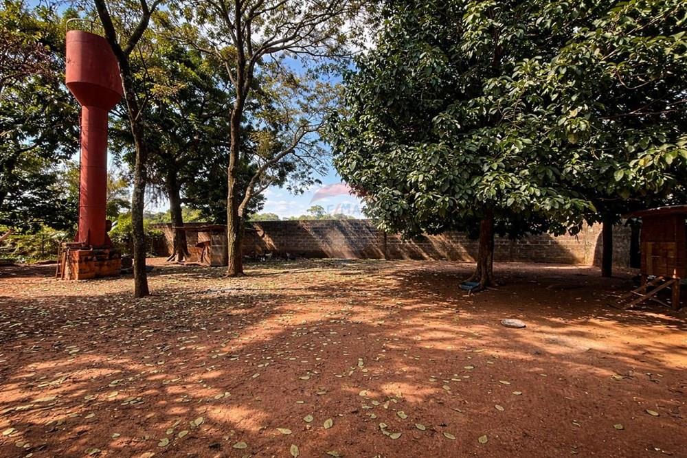 Chácara / Sítio / Fazenda - Venda - Sertãozinho , São Paulo - WhatsApp Image 2026-03-17 at 01.09.08.jpeg - 780191016-54