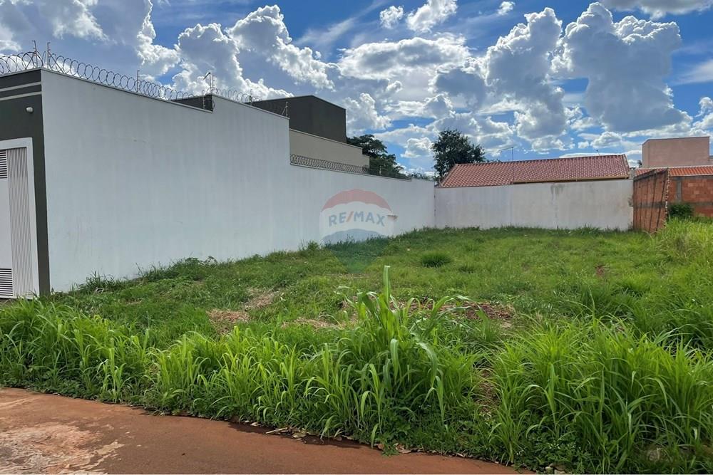 Terreno - Venda - São Joaquim da Barra , São Paulo - IMG_9415.JPEG - 780301001-31