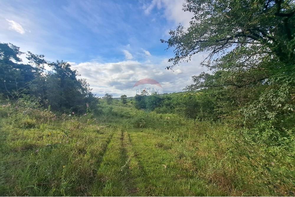 Fazenda - Venda - Cajuru , São Paulo - IMG-20250406-WA0185.jpg - 780171030-57