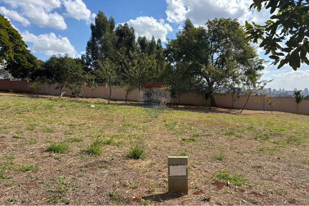 Terreno - Venda - Ribeirão Preto , São Paulo - WhatsApp Image 2025-08-07 at 09.06.37.jpeg - 780071038-65
