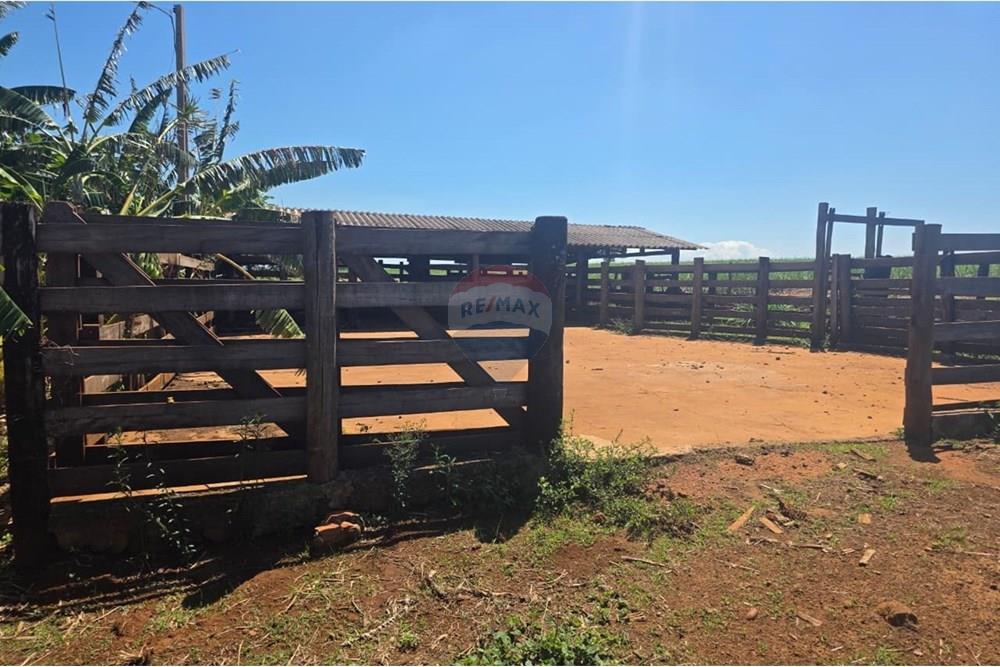 Chácara / Sítio / Fazenda - Venda - Buritizal , São Paulo - WhatsApp Image 2025-11-08 at 17.07.49 (1).jpeg - 780131009-139