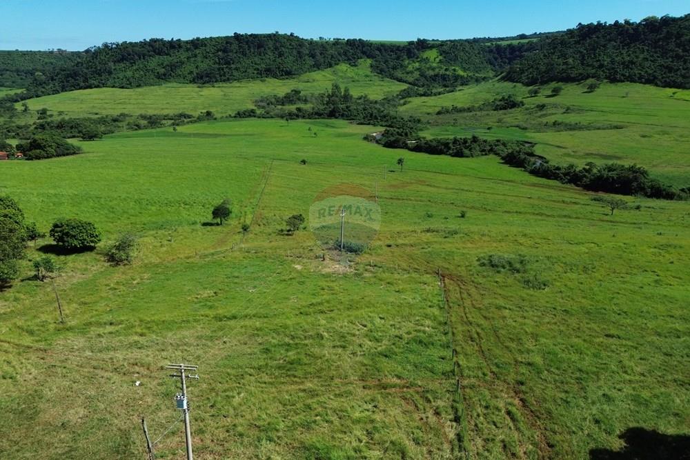 Fazenda - Venda - Cajuru , São Paulo - DJI_0012.JPG - 780171030-74