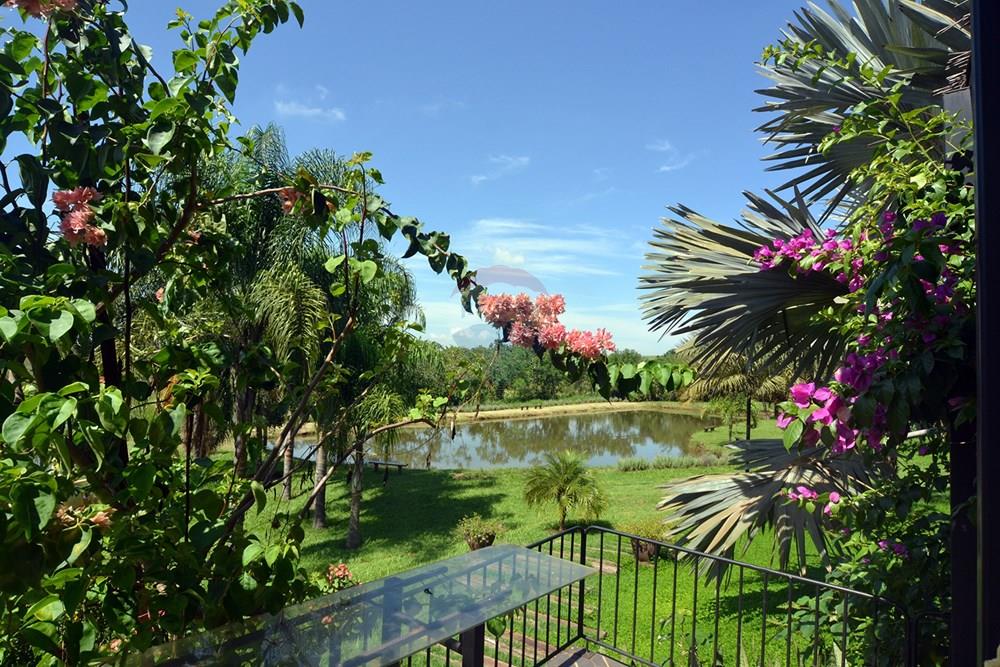 Chácara / Sítio / Fazenda - Venda - Ribeirão Preto , São Paulo - 111.JPG - 780151006-140