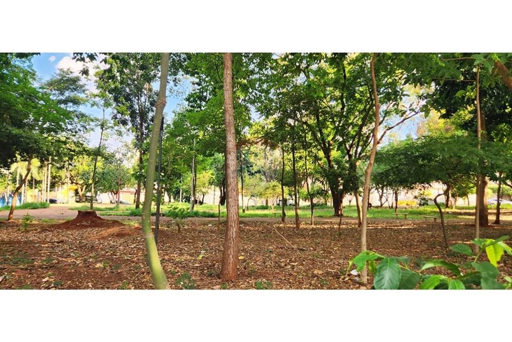 Apartamento - Venda - Ribeirão Preto , São Paulo - WhatsApp Image 2025-11-10 at 15.11.08 (3).jpeg - 780091032-143