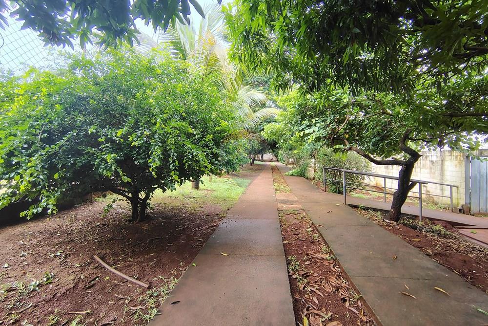 Apartamento - Venda - Ribeirão Preto , São Paulo - IMG_20260211_094150639_HDR.jpg - 780261029-5