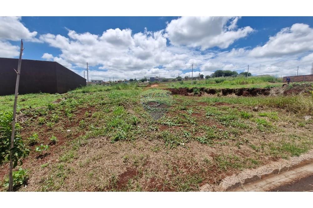 Terreno - Venda - Dumont , São Paulo - WhatsApp Image 2026-02-27 at 12.52.29 (10).jpeg - 780181011-292