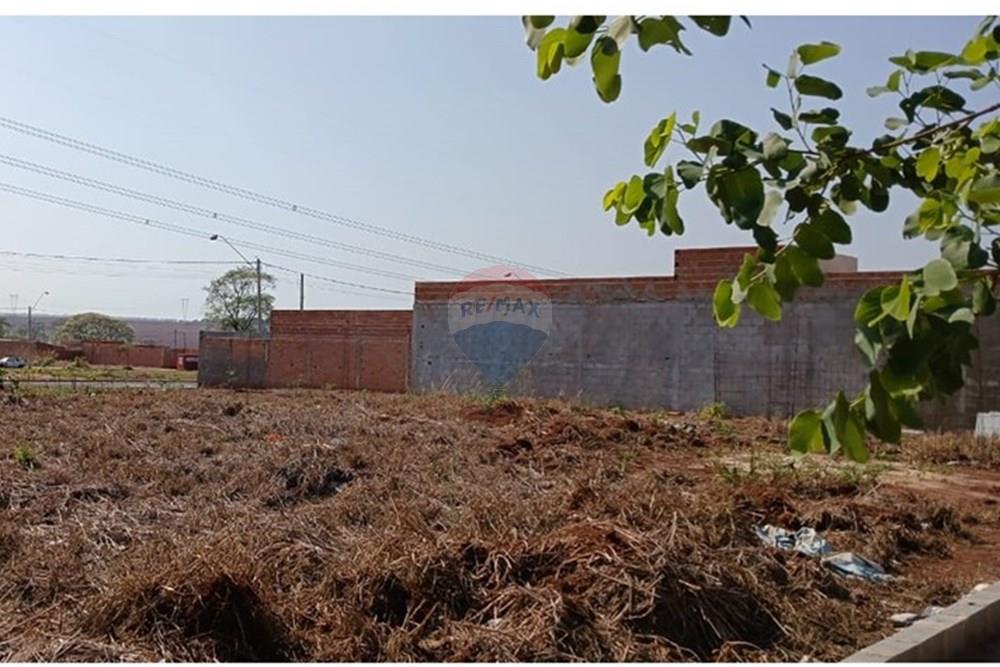 Terreno - Venda - Ribeirão Preto , São Paulo - 12.jpeg - 780171003-242