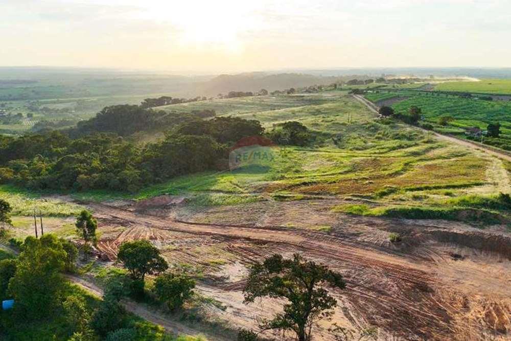 Chácara / Sítio / Fazenda - Venda - Monte Alto , São Paulo - foto 22.jpg - 780271059-44