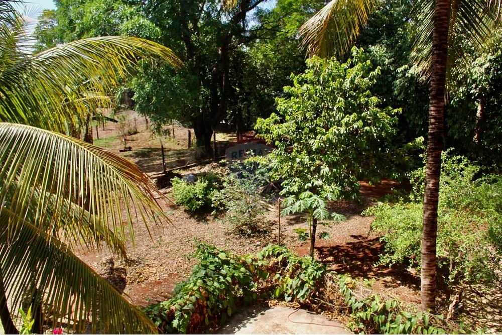 Chácara / Sítio / Fazenda - Venda - Ribeirão Preto , São Paulo - IMG_8808.jpeg - 780261028-27