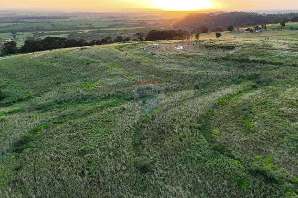 Chácara / Sítio / Fazenda - Venda - Monte Alto , São Paulo - foto 9.jpg - 780271059-44