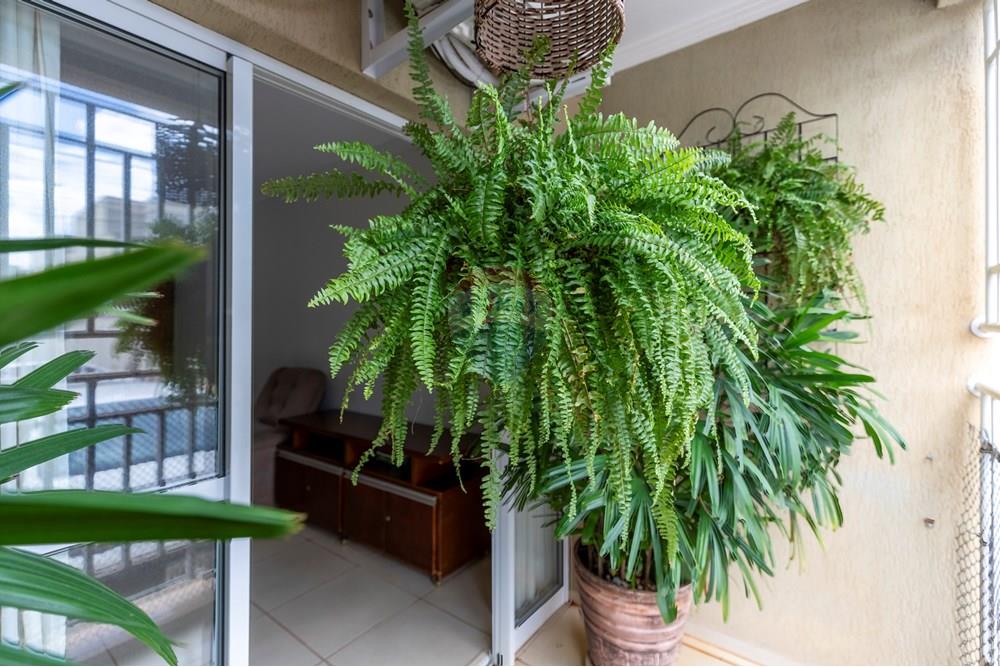 Apartamento - Venda - Ribeirão Preto , São Paulo - IMG_4797-HDR.jpg - 780251003-18