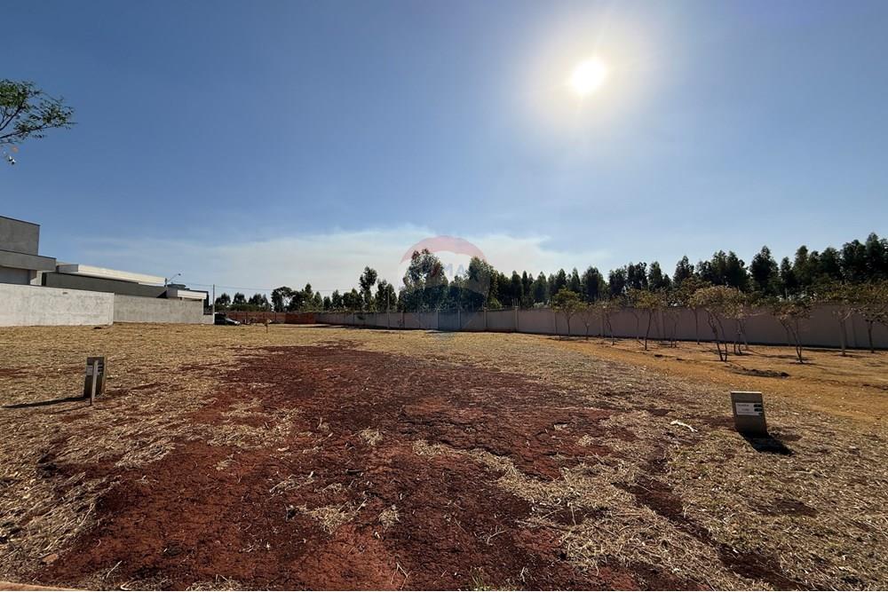 Terreno - Venda - Ribeirão Preto , São Paulo - IMG_4665.JPG - 780071020-152