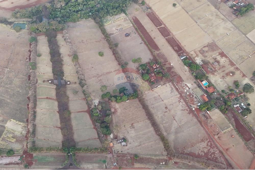 Agro - Venda - Sales Oliveira , São Paulo - DJI_20240827175333_0095_D.JPG - 780251035-14