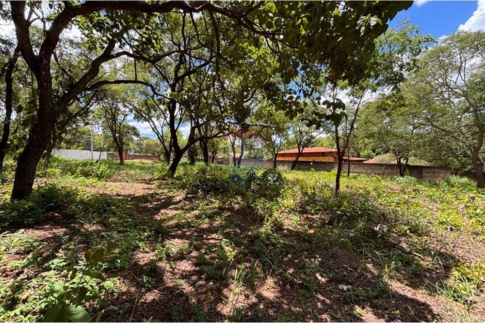 Terreno - Venda - Ribeirão Preto , São Paulo - 9.jpeg - 780121043-20