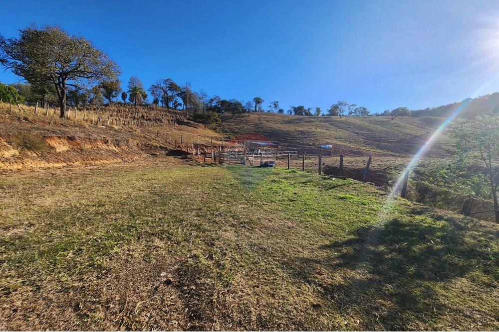 Chácara / Sítio / Fazenda - Venda - Pratápolis , Minas Gerais - WhatsApp Image 2025-08-16 at 15.53.01 (2).jpeg - 780191018-8