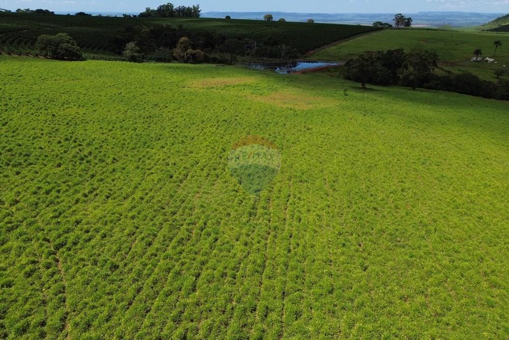 Fazenda - Venda - Cajuru , São Paulo - DJI_0047.JPG - 780171030-74