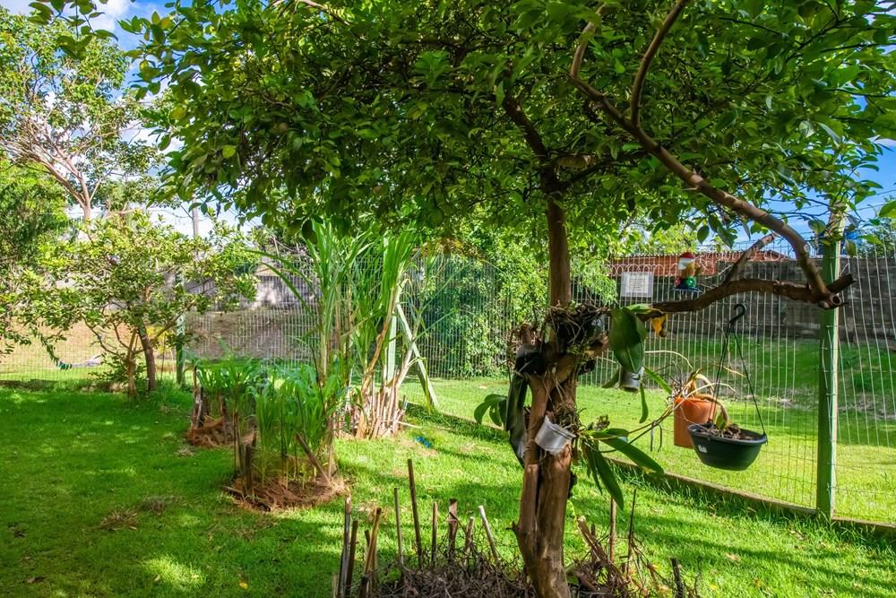 Apartamento - Venda - Ribeirão Preto , São Paulo - FOTO-140.jpg - 780251041-5