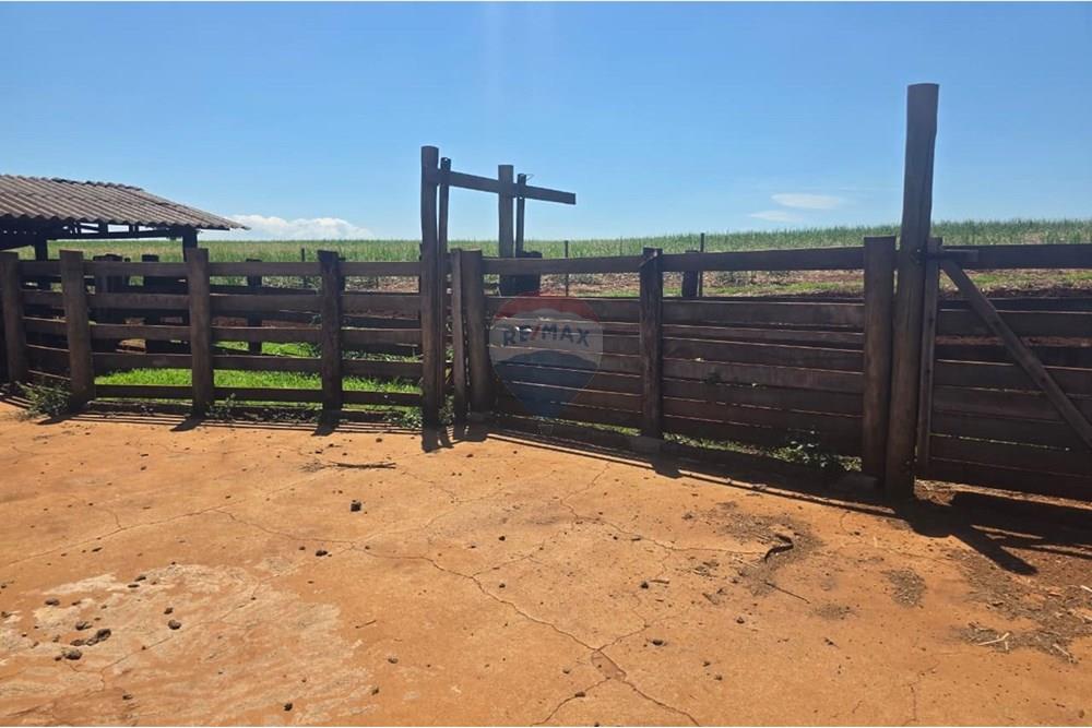 Chácara / Sítio / Fazenda - Venda - Buritizal , São Paulo - WhatsApp Image 2025-11-08 at 17.07.49 (3).jpeg - 780131009-139