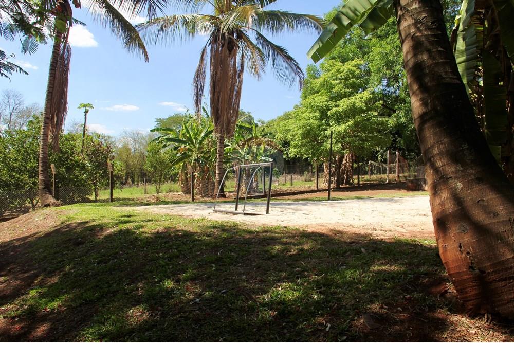 Chácara / Sítio / Fazenda - Venda - Ribeirão Preto , São Paulo - IMG_8833.jpeg - 780261028-27