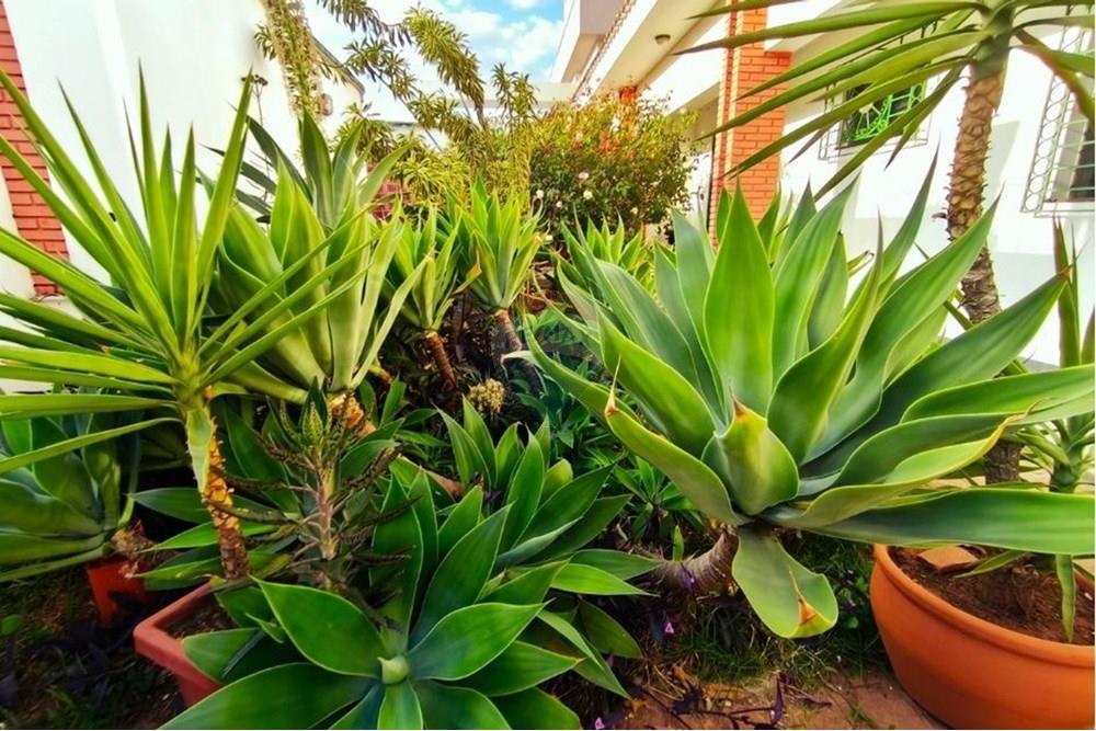 Casa - Venda - Mococa , São Paulo - 4.jpg - 780201069-10