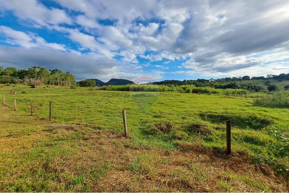 Chácara / Sítio / Fazenda - Venda - Cajuru , São Paulo - IMG-20250406-WA0122.jpg - 780171030-59