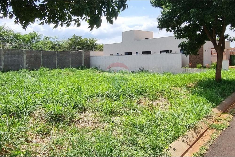 Terreno - Venda - Ribeirão Preto , São Paulo - 6bf4f9c2-5465-4513-9133-37fedd51161d.jpg - 780181033-22