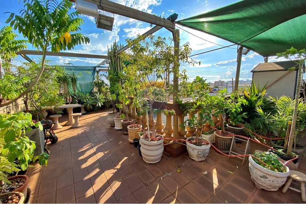 Casa - Venda - Ribeirão Preto , São Paulo - 7116e038-6637-4ee8-a05a-eac62ef97b43.jpg - 780171018-317