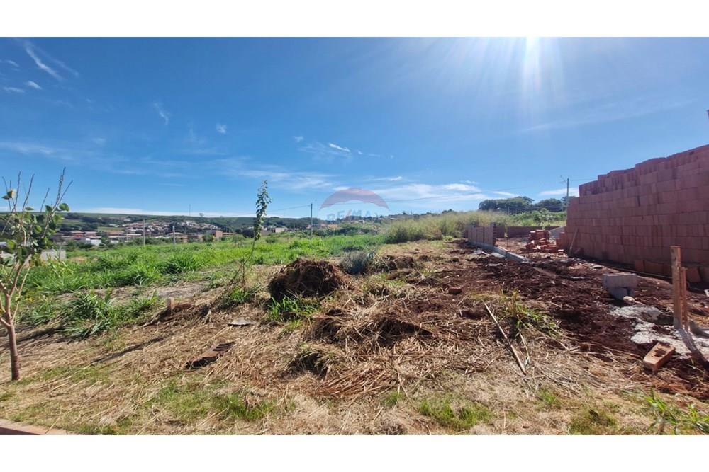 Terreno - Venda - Dumont , São Paulo - WhatsApp Image 2026-04-06 at 11.15.35 (4).jpeg - 780181011-299