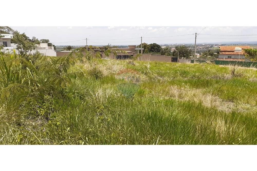 Terreno - Venda - São Joaquim da Barra , São Paulo - IMG-20251202-WA0148.jpg - 780301010-7