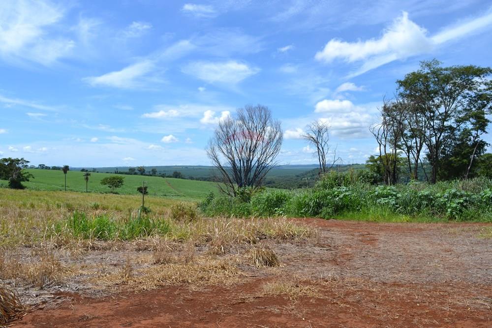 Agro - Venda - Luís Antônio , São Paulo - DSC_0119.JPG - 780071080-2