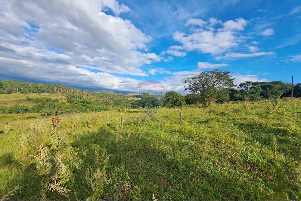 Fazenda - Venda - Cajuru , São Paulo - IMG-20250406-WA0169.jpg - 780171030-57