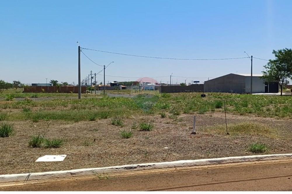 Terreno - Venda - Sertãozinho , São Paulo - IMG-20250926-WA0010.jpg - 780191016-33