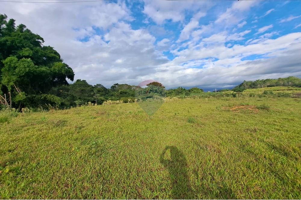 Chácara / Sítio / Fazenda - Venda - Cajuru , São Paulo - IMG-20250406-WA0140.jpg - 780171030-59