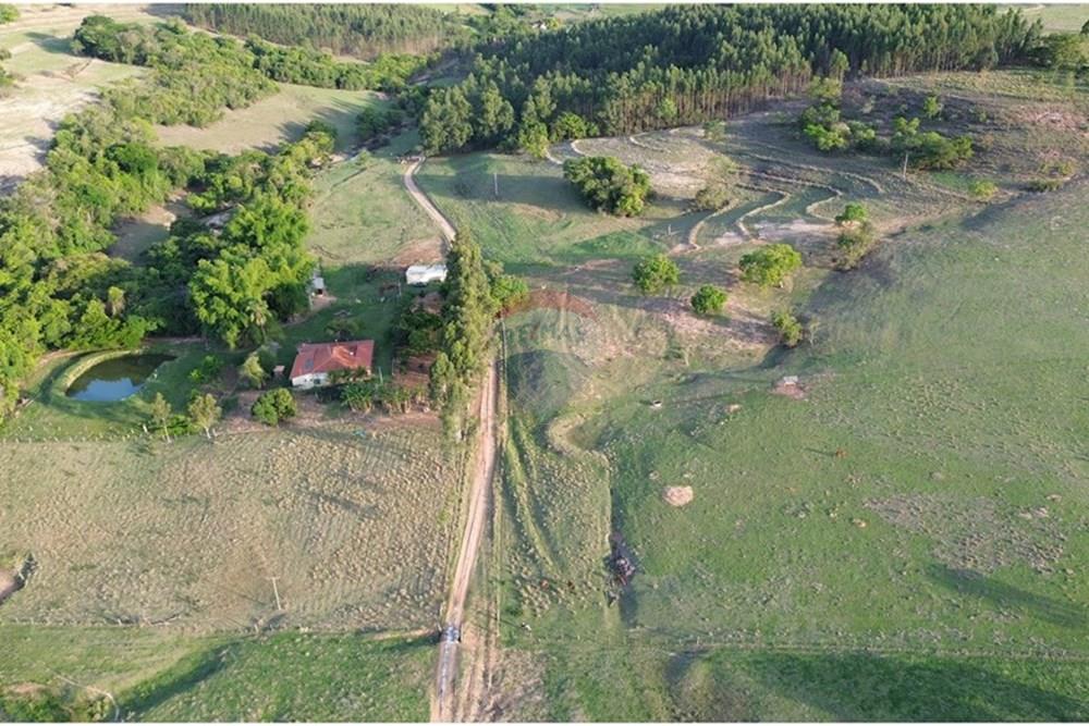 Chácara / Sítio / Fazenda - Venda - Santo Antônio da Alegria , São Paulo - DJI_0399.JPG - 780171030-68