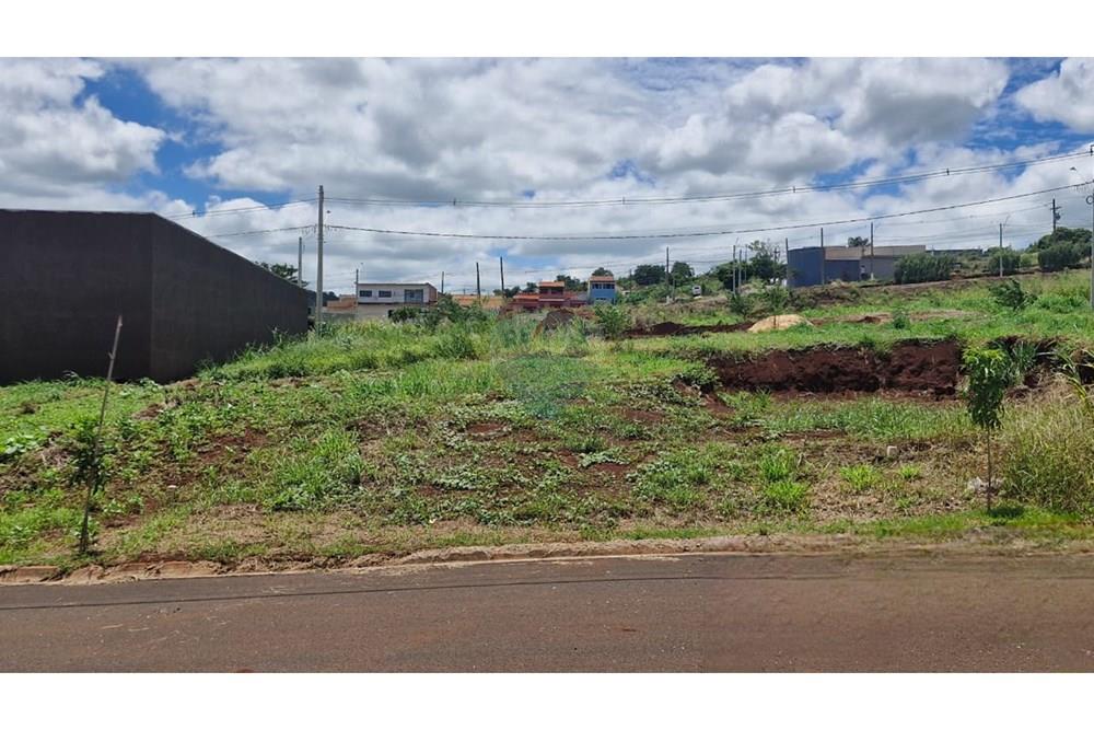 Terreno - Venda - Dumont , São Paulo - WhatsApp Image 2026-02-27 at 13.00.16.jpeg - 780181011-292