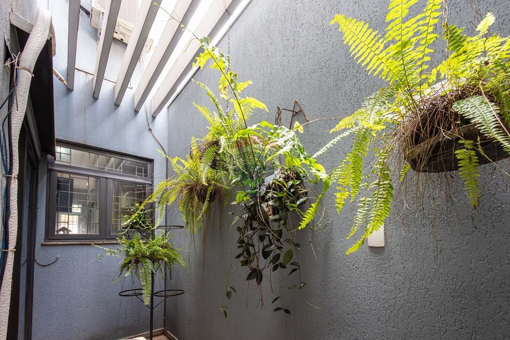 Casa - Venda - Ribeirão Preto , São Paulo - @karinanogueirafotografia-8164.jpg - Jardim de Inverno - 780151047-5