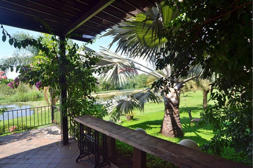 Chácara / Sítio / Fazenda - Venda - Ribeirão Preto , São Paulo - 17 - Copia - Copia (2).jpg - 780151006-140