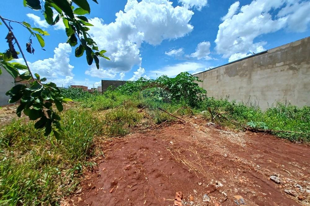 Terreno - Venda - Cravinhos , São Paulo - 20260117_132931.jpg - 780121006-94