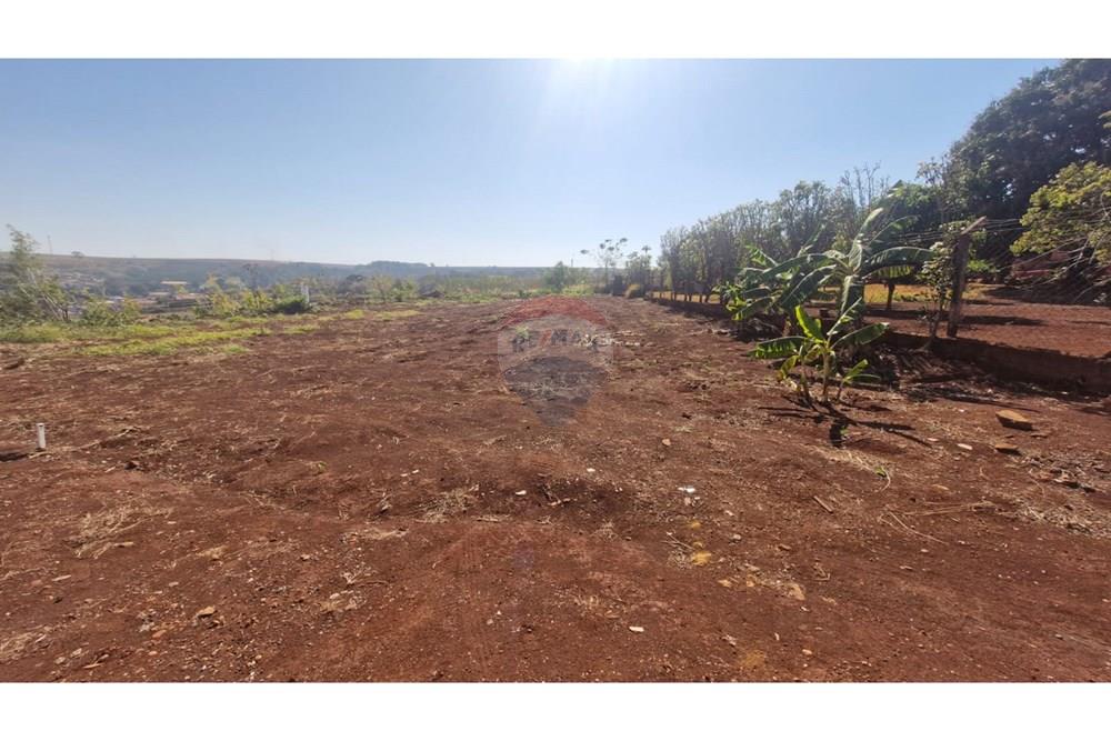 Chácara / Sítio / Fazenda - Venda - Dumont , São Paulo - WhatsApp Image 2025-09-03 at 09.53.18 (4).jpeg - 780181011-281